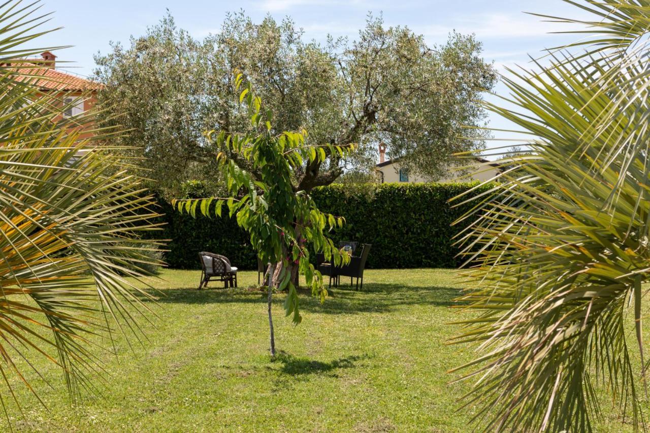 B&B Villa Oasa 1 Rovinj Exterior foto